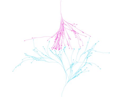 Image result for Processing Collision