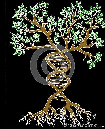 Image result for DNA Tree