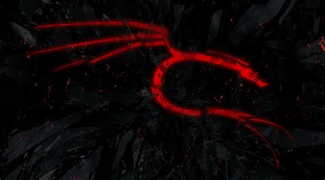 Image result for Kali Linux Background
