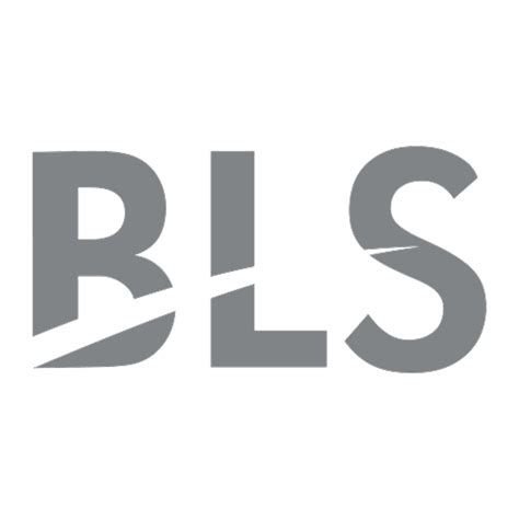 BLS Intl Serv Share Price Today - BLS Intl Serv Stock Price Live NSE/BSE