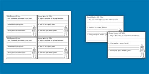 Seventh Grade Skeletal System Exit Ticket (teacher made)