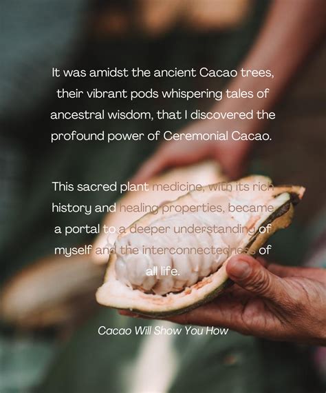 Third Eye Cacao - ceremonial cacao (@thirdeyecacao) • Instagram photos ...