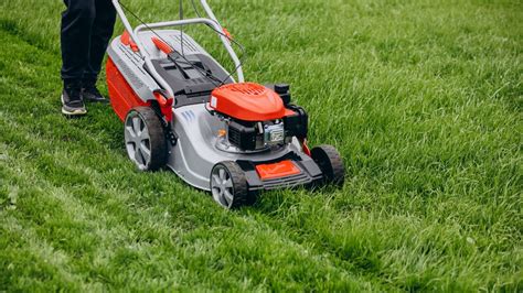 How Much Does Lawn Care Cost | Pricing for Lawn Care Service