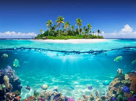 Which ocean surround the Maldives? | Times of India Travel