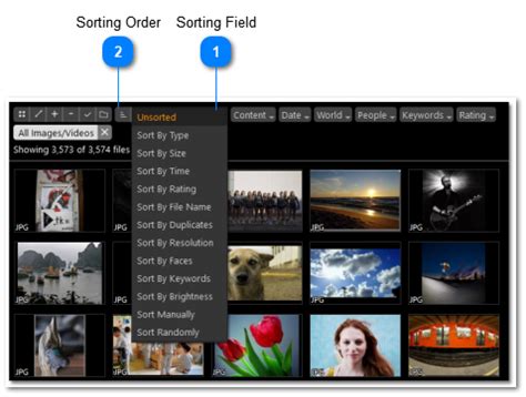 File Sorting 的图像结果