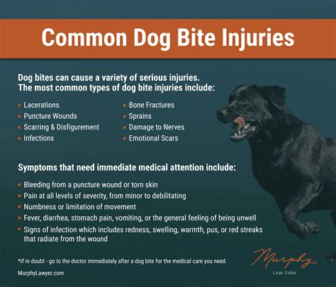 Dog Bite Wounds On Dogs