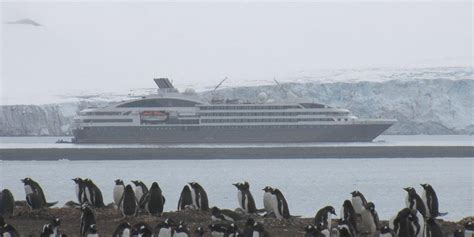 South Shetland Islands Tourism (2023): Best of South Shetland Islands ...