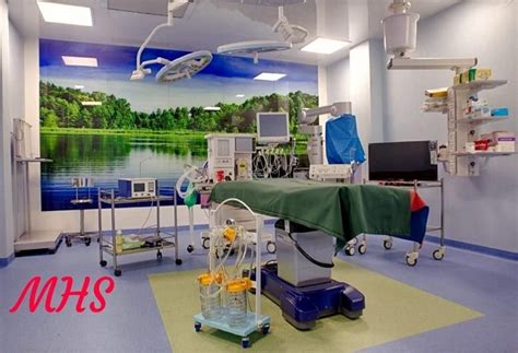 Modular Operating Theatre Manufacturer, Supplier from Greater Noida