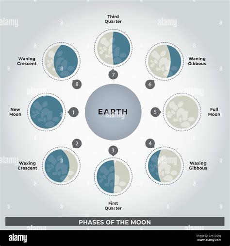 Phases of the moon illustration hi-res stock photography and images - Alamy