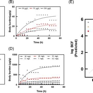 Image result for Extreme Gradient Boosting Flowchart