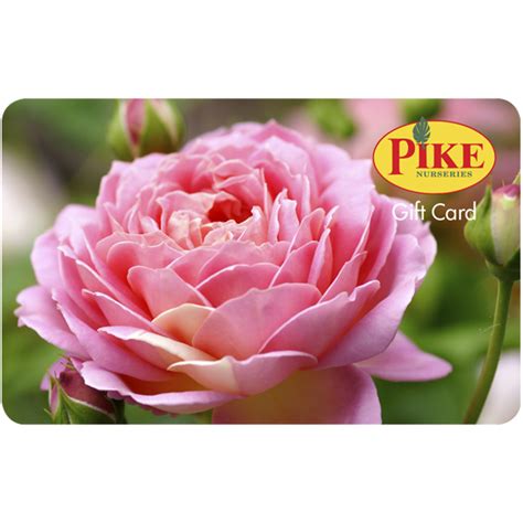 Rose Gift Redemption Code 的图像结果