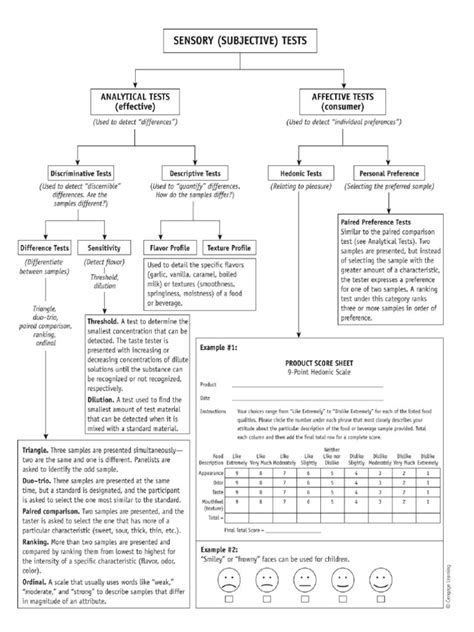 Image result for Sensory Testing Procedure