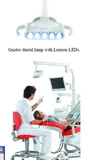 Latest News & Updates in Dentistry: Endo or Implants, How to Choose ...