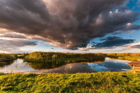 Biebrza - Sztabin - Posters by Mariusz Orchowski | Buy Posters, Frames ...