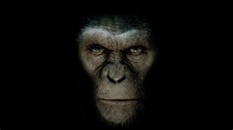 [猩球崛起3：终极之战 War for the Planet of the Apes] 線上看 （國語正版 完整版 高清1080P）- KKTM