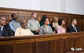 Image result for juror 陪审团成员