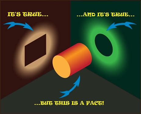 Fact 的图像结果