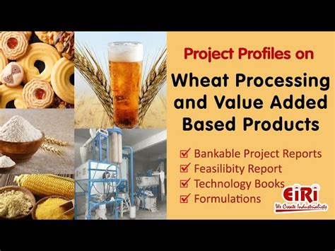 Maize & Corn Processing Projects - Maize Processing Plant Starches ...