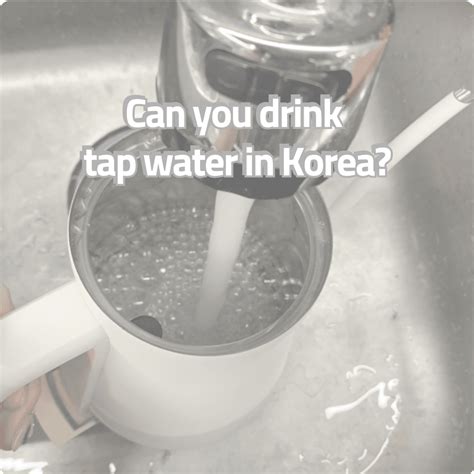 Can You Drink Tap Water In Korea