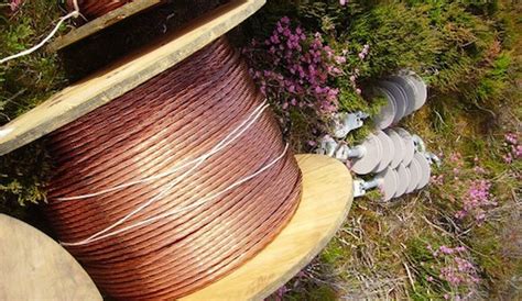 Local Loop Unbundling 的图像结果