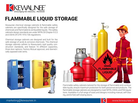 Image result for Flammable Liquid Storage Containers