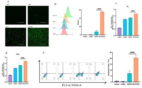 Copper Sulfate Combined with Photodynamic Therapy Enhances Antifungal ...