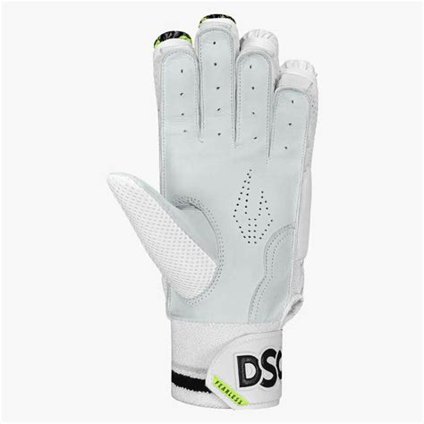 DSC Fury Cricket Batting Gloves – Sportswing.in