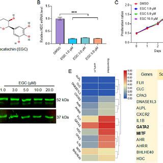 Image result for Python and Function for EGC Tutorial
