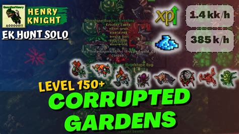 Image result for Tibia Ek