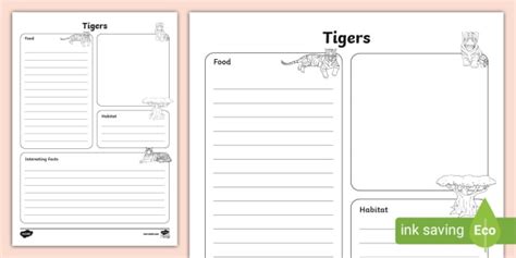 Tigers - Fact File Template
