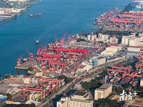 2022年中山外贸再创新高，进出口总值达2798.7亿_企业_海关_通关