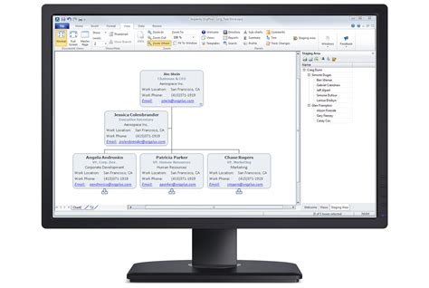 Image result for OrgPlus Org Chart