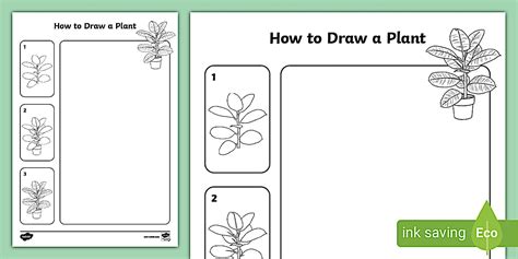 How to Draw a Plant Worksheet | Drawing and Art | Twinkl KS1