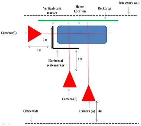 Animals | Special Issue : Applied Ethology and Welfare of Animals