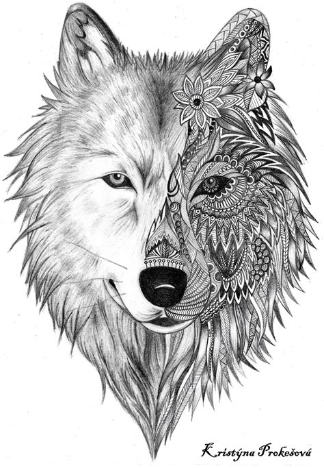 Wolf Face Drawing at PaintingValley.com | Explore collection of Wolf ...