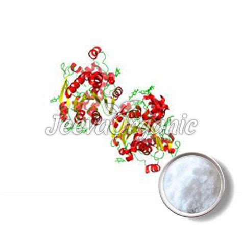 Bulk Fungal Lipase Powder Supplier