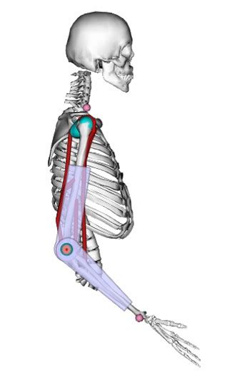 UMass ExBow : Robotics @ UMass Amherst : UMass Amherst