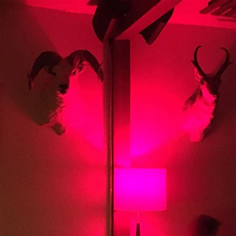 THE BITTER BAR, Boulder - Restaurant Avis, Numéro de Téléphone & Photos ...