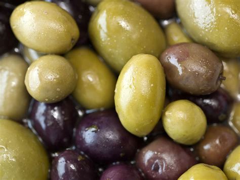 10 Varieties of Fruiting Olive Trees You Can Grow