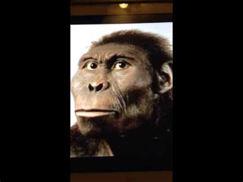 Australopithecus Song 的图像结果