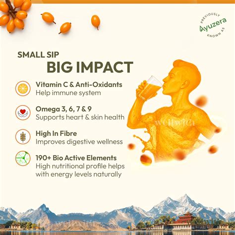 Buy Pure & Organic Sea Buckthorn Juice (Pulp) Online At Best Prices