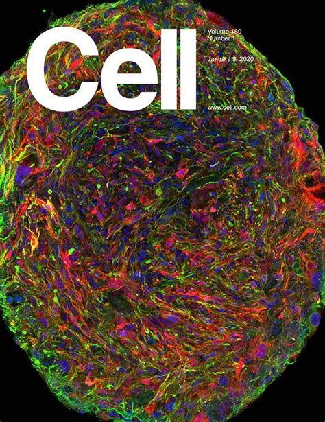 Cell封面高清 的图像结果
