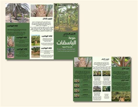Entry #13 by phremo23 for Trifold Brochure Design in Urdu & Arabic ...