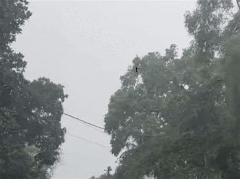 Bihar Weather Alert: Storm Warning for 32 Districts - Bihar News ...