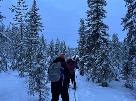 ARCTIC FOX EXPEDITIONS (2025) All You Need to Know BEFORE You Go (with ...