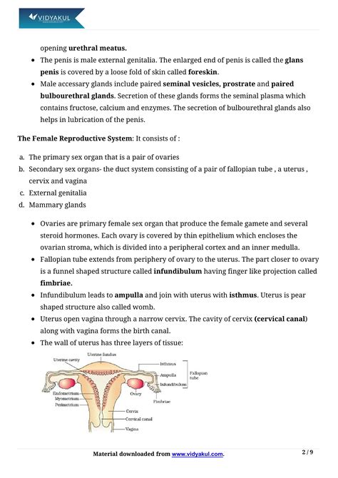 Image result for Class 12 Bio Human Reproduction