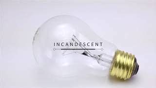 Light Bulb Socket Guide: Info On Sizes, Types Shapes, 42% OFF