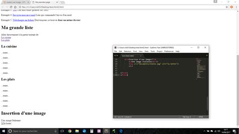 Inserer Une Image HTML 的图像结果