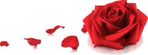 Dusky India, Ayurvedic beauty product