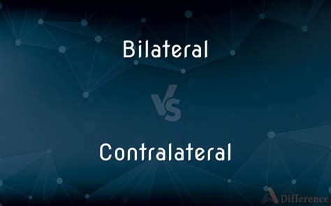 Image result for Contralateral Activities